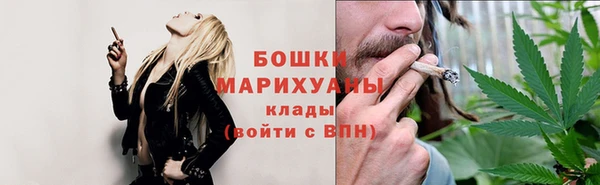 тгк Гусь-Хрустальный