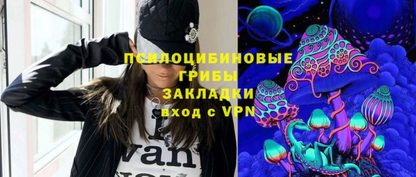 тгк Гусь-Хрустальный