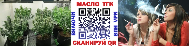 продажа наркотиков  Чаплыгин  MEGA ONION  Дистиллят ТГК гашишное масло 