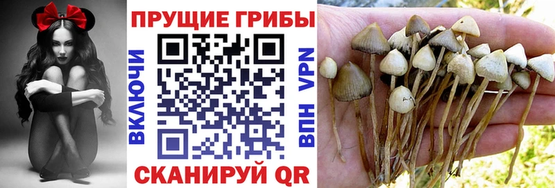 Галлюциногенные грибы мицелий  Чаплыгин 